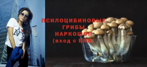 ешки Каменногорск