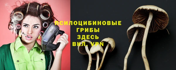 кокаин премиум Каменка
