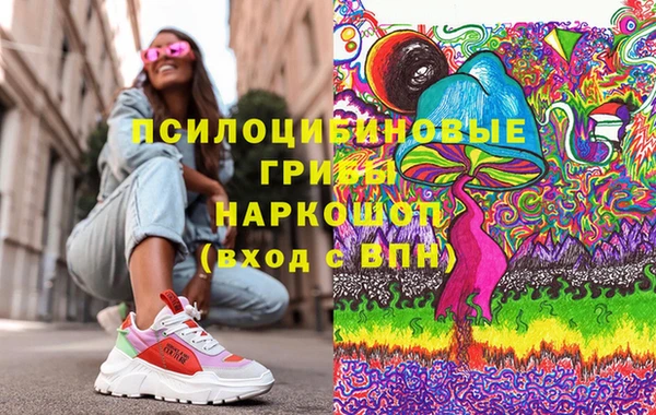 ешки Каменногорск