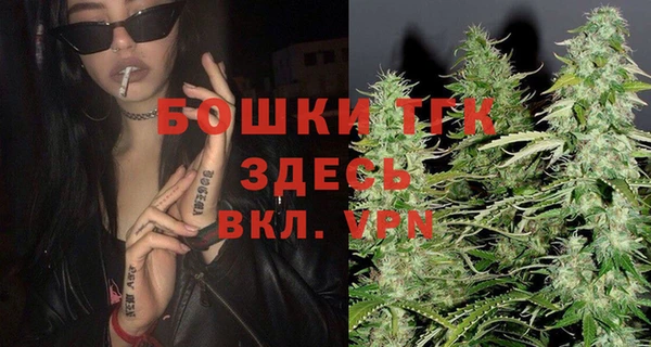 ешки Каменногорск