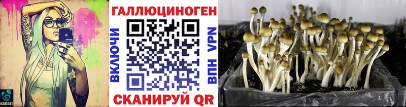 Галлюциногенные грибы мухоморы  Купить где  Муром 