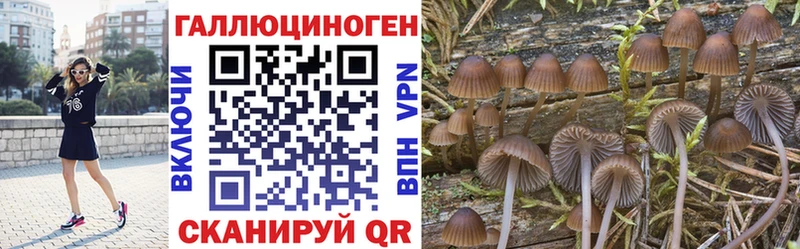 Галлюциногенные грибы Cubensis Муром